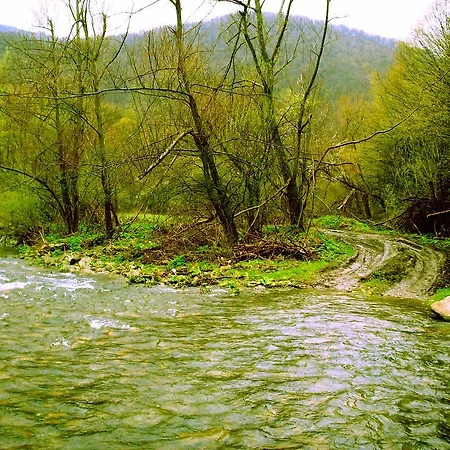 Feniks Lyava Reka