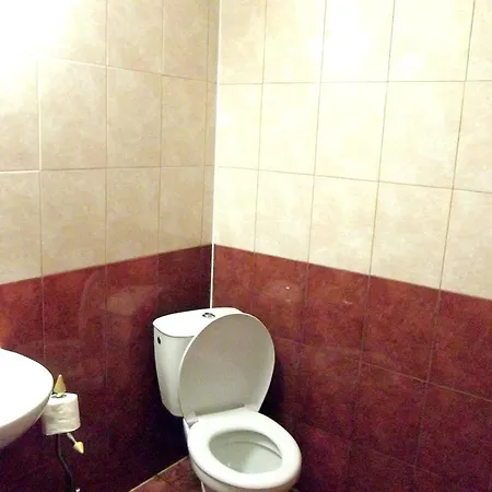 Guest house Feniks *